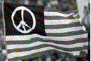 peace-flag